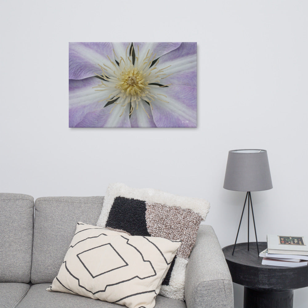 Purple Clematis Canvas 24x36