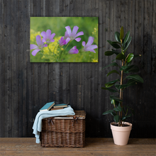 Load image into Gallery viewer, Oxalis Canvas 24x36
