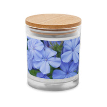 Load image into Gallery viewer, Blue Plumbago
