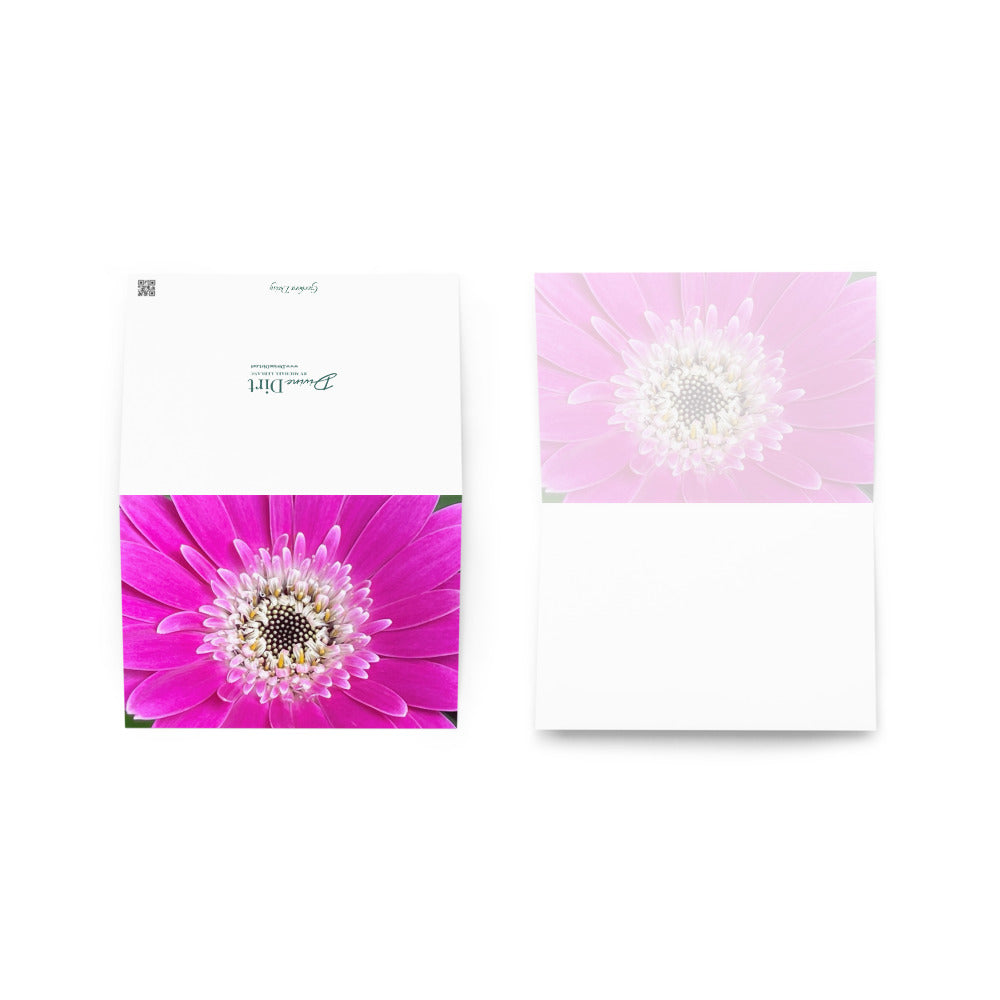 Hot Pink Gerbera Daisy