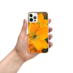 Orange Star iPhone Case