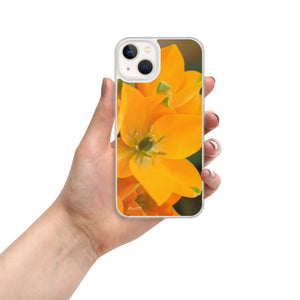 Orange Star iPhone Case