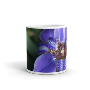 Purple Brazilian Iris   "Love"