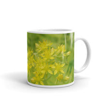 Load image into Gallery viewer, Lime Green Sedum.   &quot;Thankful&quot;
