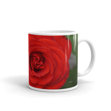 Load image into Gallery viewer, Red Rose  &quot;You have immense worth and value&quot;
