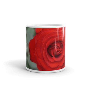 Red Rose  "You have immense worth and value"