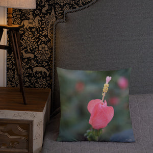 Pink Turks Cap Premium Pillow with Soft Grey Back