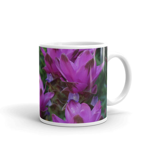 Pink Siam Tulips without a message