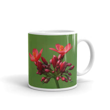 Load image into Gallery viewer, Red Jatropha  &quot;You are enough just the way you are&quot;
