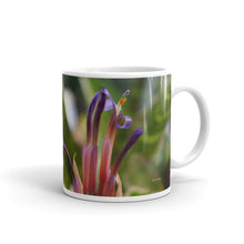 Load image into Gallery viewer, Bromeliad without a message
