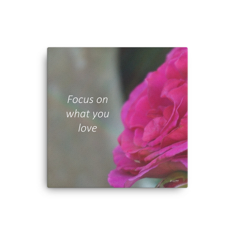Focus on what you love  12x12