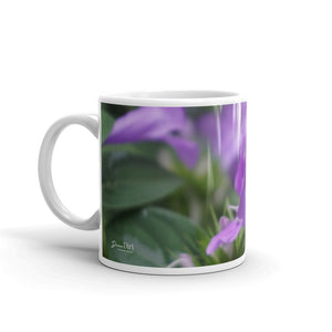 Purple Philippine Violet  without a message