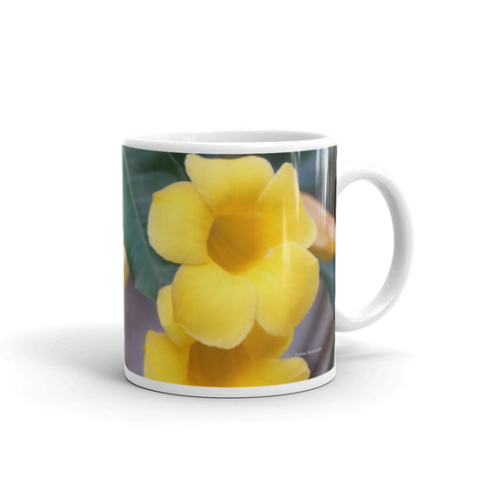 Yellow Allamanda without a message