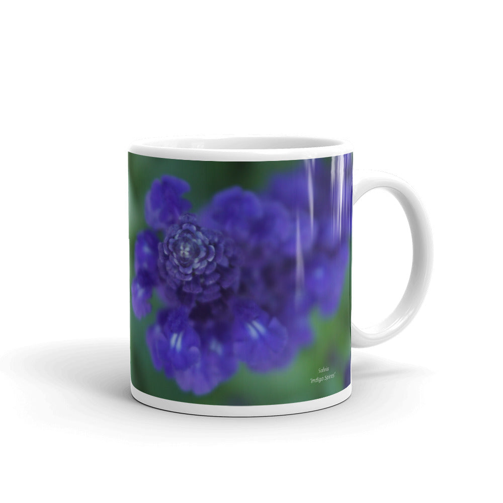 Purple Salvia-Indigo Spires  
