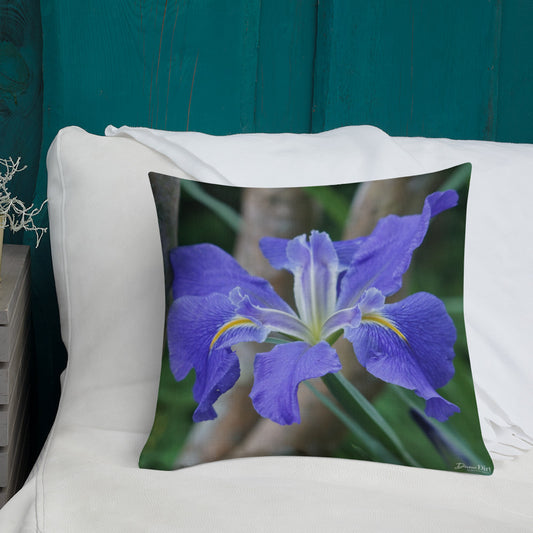 Purple Louisiana Iris Premium Pillow with White Back