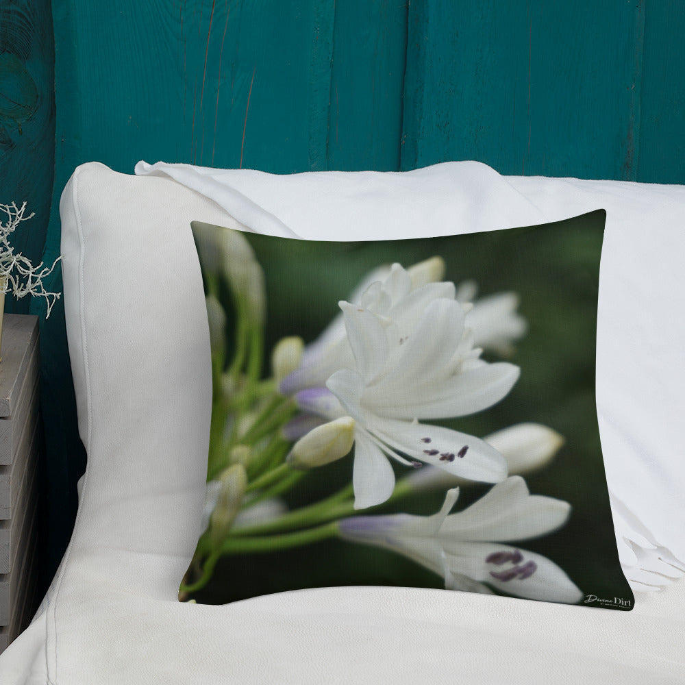 White Agapanthus 'Indigo Frost'  Premium Pillow with White Back