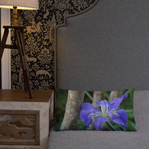 Purple Louisiana Iris Premium Pillow with White Back