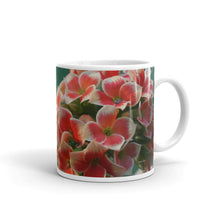 Load image into Gallery viewer, Kalanchoe_Orange_Bi Color (without message)
