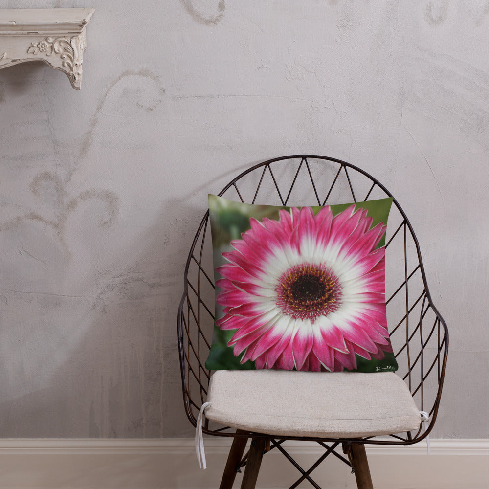 Pink Gerbera Daisy Premium Pillow with White Back