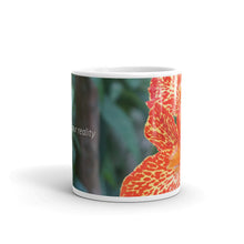 Load image into Gallery viewer, Orange Dwarf Canna-Picasso &quot;Create your reality&quot;
