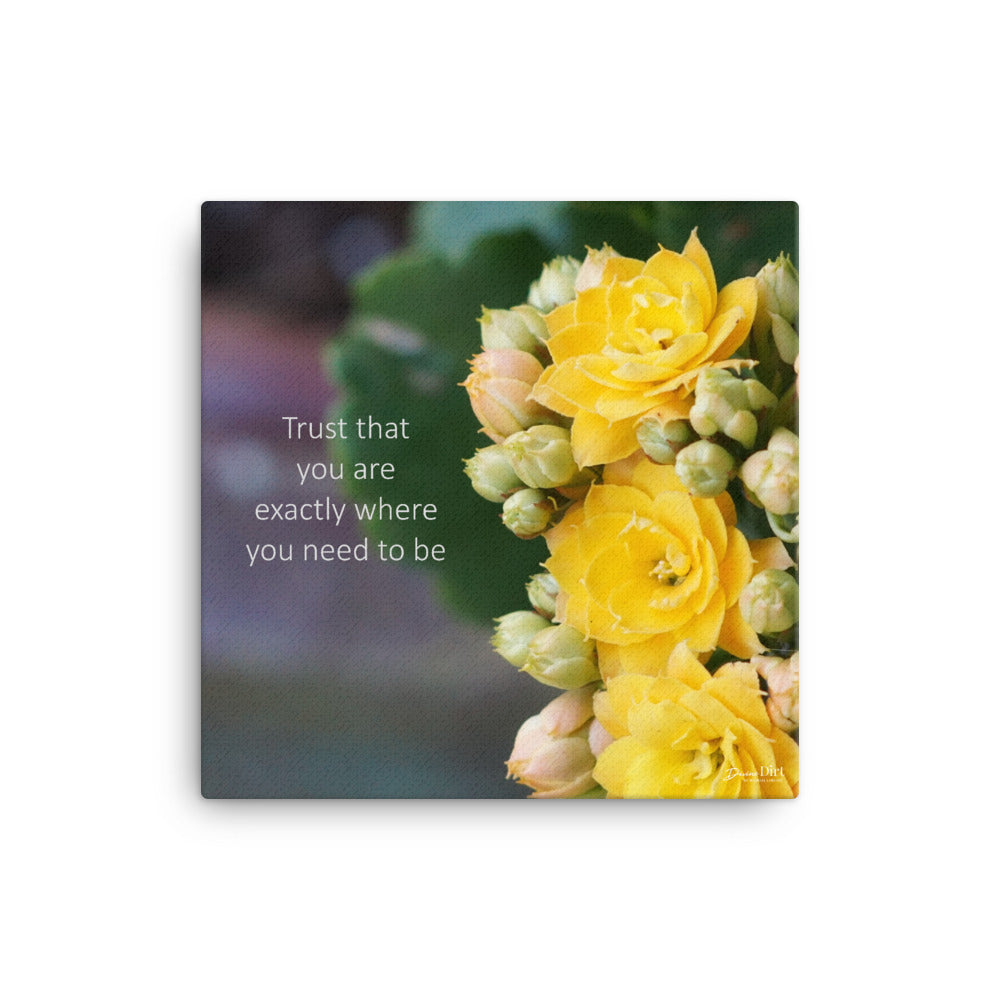 Kalanchoe_Yellow (Trust that you are exactly where you need to be)