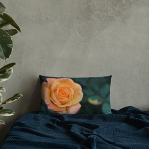 Orange Delight Rose Premium Pillow