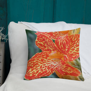 Orange Dwarf Canna 'Picasso' Premium Pillow with Orange Back