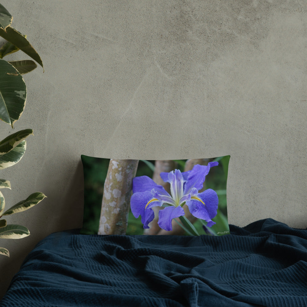 Purple Louisiana Iris Premium Pillow with White Back