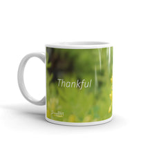 Load image into Gallery viewer, Lime Green Sedum.   &quot;Thankful&quot;
