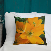 Load image into Gallery viewer, Orange Star Premium Pillow with White Back

