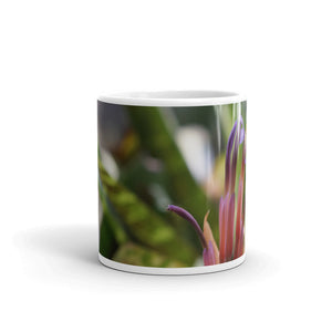 Bromeliad without a message