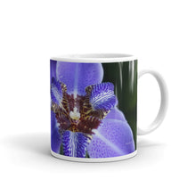 Load image into Gallery viewer, Purple Brazilian Iris   &quot;Love&quot;

