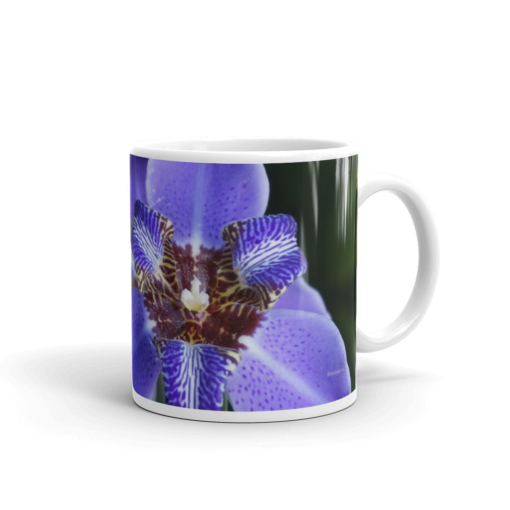 Purple Brazilian Iris   