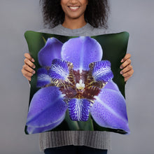Load image into Gallery viewer, Brazilian Iris  Standard Pillow with Light Grey Back
