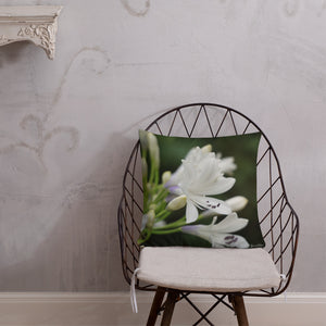 Agapanthus 'Indigo Frost' Premium Pillow with White Back