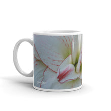 Load image into Gallery viewer, White Amaryllis close up without a message
