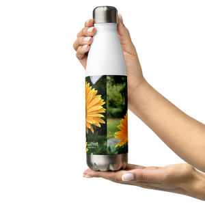 Gerbera Daisies Stainless Steel Water Bottle