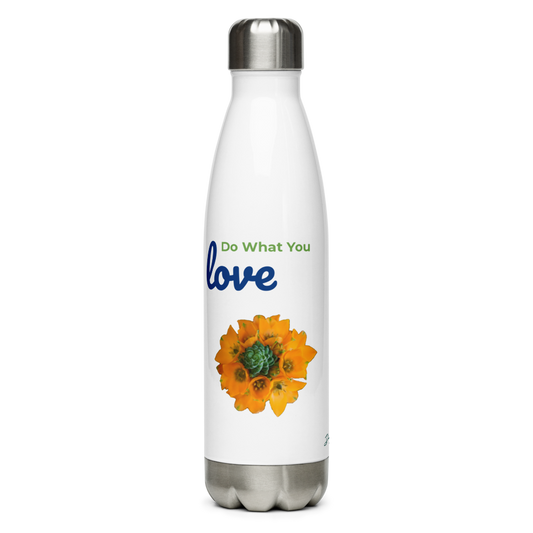 Do What You Love Stainless Steel Water Bottle