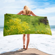 Load image into Gallery viewer, Sedum &#39;Give the Energy of Thanks&#39;
