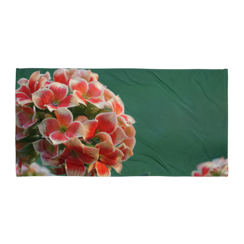 Kalanchoe 'You are Whole, Complete and Limitless'