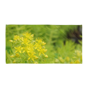Sedum 'Give the Energy of Thanks'