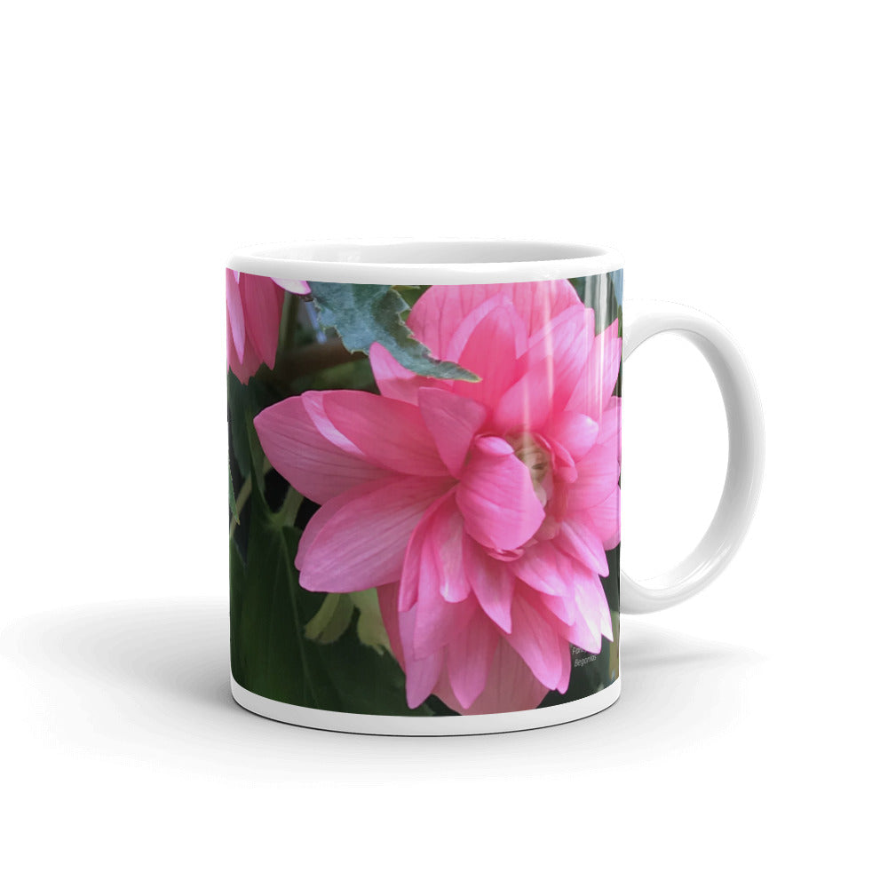 Pink Begonia “Abundance is Everywhere