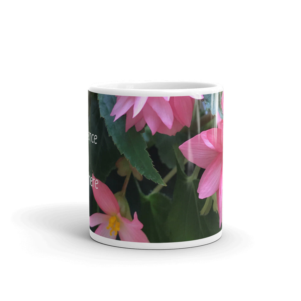 Pink Begonia “Abundance is Everywhere"