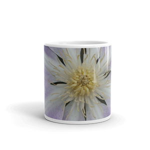 Purple Clematis