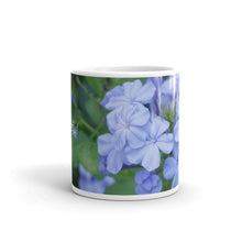 Load image into Gallery viewer, Blue Plumbago &#39;Grateful&#39;
