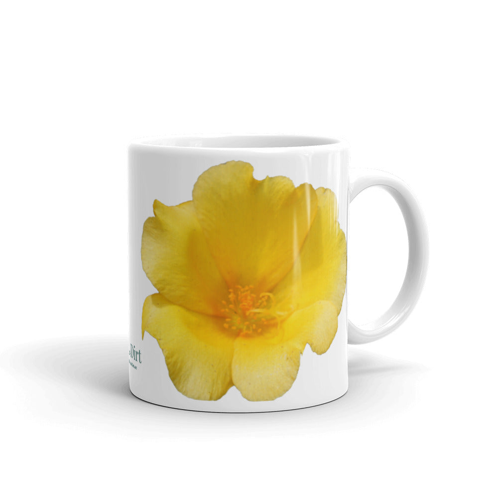 Yellow Portulaca