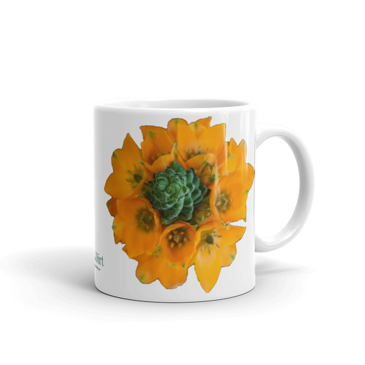 Orange Star
