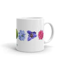 Load image into Gallery viewer, Energy Centers _ Chakras _ Mug
